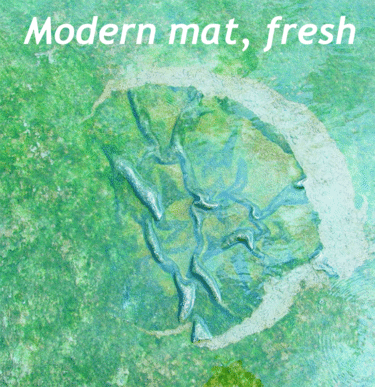 Animated GIF showing a 3 frame taphonomic sequence comparing a fresh modern mat, green and skin-like, ripped, rotated and wrinkled, then the same mat a week later, dried out and a bit crusty looking, and finally a fossilized version (lithified in sandstones of the Pongola Supergroup).