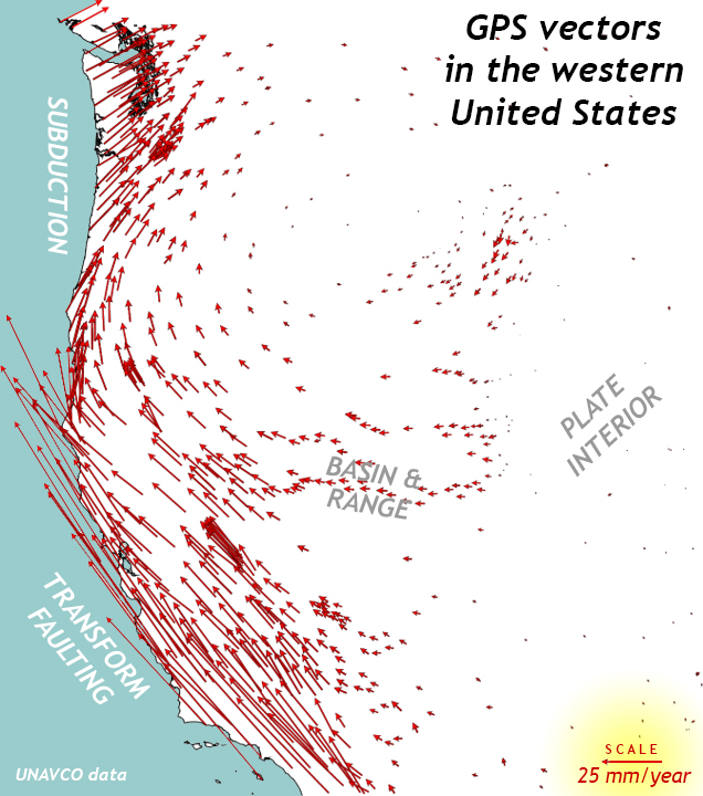 Map of the western United States and Pacific coastline, showing GPS vectors as arrows. The arrows are miniscule in the plate interior, show modest western stretching in the Basin & Range province, and show northeast-directed motion above the Cascadia subduction zone (northern California, Oregon, and Washington state). The arrows are longest, and point to the northwest, along the San Andreas Fault system in southern and central California.