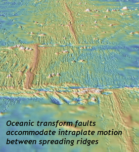 Oblique view of seafloor bathymetry along the East Pacific Rise, showing oceanic ridge segments separated along perpendicular transform faults (fracture zones).