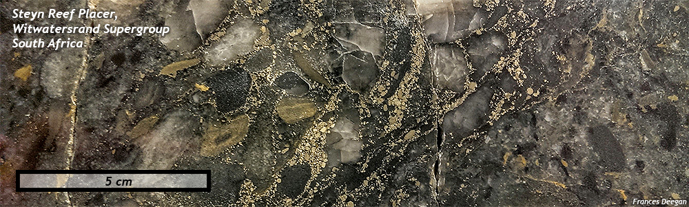 Annotated photograph of a slab of quartz-pebble conglomerate with significant amounts of glittery golden pyrite sand grains in between the pebbles.