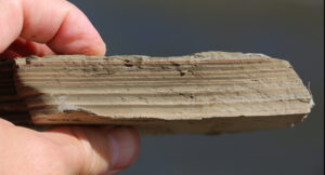 Photograph showing a person's hand holding a fine-grained sample of mud rock. The rock's bedding is viewed in cross section, showing about 10 thin laminations that vary from light to dark and back again.