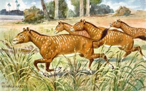 Four small, early horses go running across the grassland.