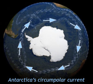 Map showing a doughnut-shaped current encircling Antarctica, rotating clockwise. 