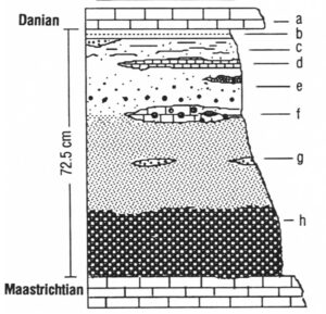 Stratigraphic column showing a tsunami deposit between Cretaceous (Maastrichtian) limestone below and Paleogene (Danian) limestone above.