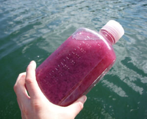 A bottle holding a purple, cloudy fluid over a green pond.