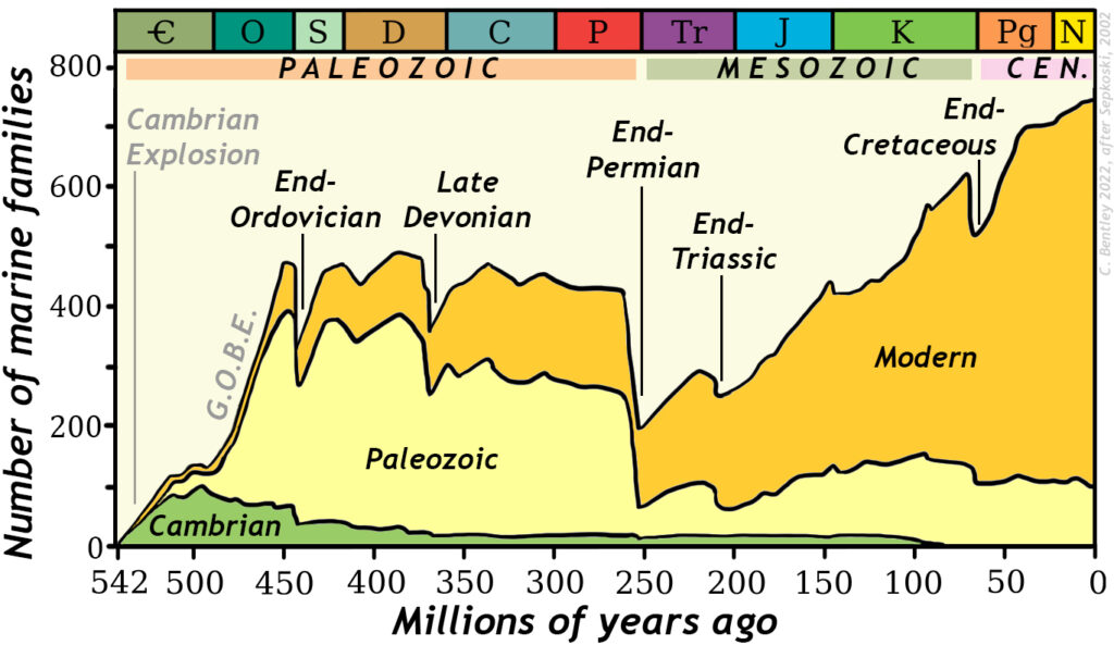 A graph showing diversity in marine animal families over the Phanerozoic Eon of geologic time. Five major drops are shown: these are the mass extinctions. In addition, the Cambrian Explosion and Great Ordovician Biodiversification Event (GOBE) are indicated. The total number of animals are subdivided into the three main "faunas" of Sepkoski (1984, 2002): the Cambrian, Paleozoic, and Modern.