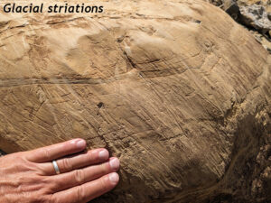 Photograph showing a scratched-up outcrop. Hand for scale.