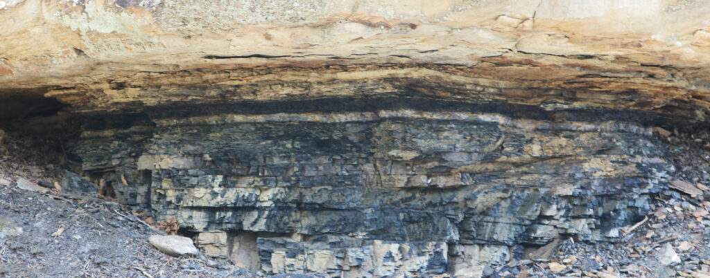 Photograph of horizontal stratified sedimentary rocks, viewed in cross-section. The lower layers are dark. The upper layers are light in color. At the boundary between the two is an abrupt back and forth light-then-dark. No sense of scale is provided.