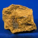 Image of limonite, a hydrated oxide of iron