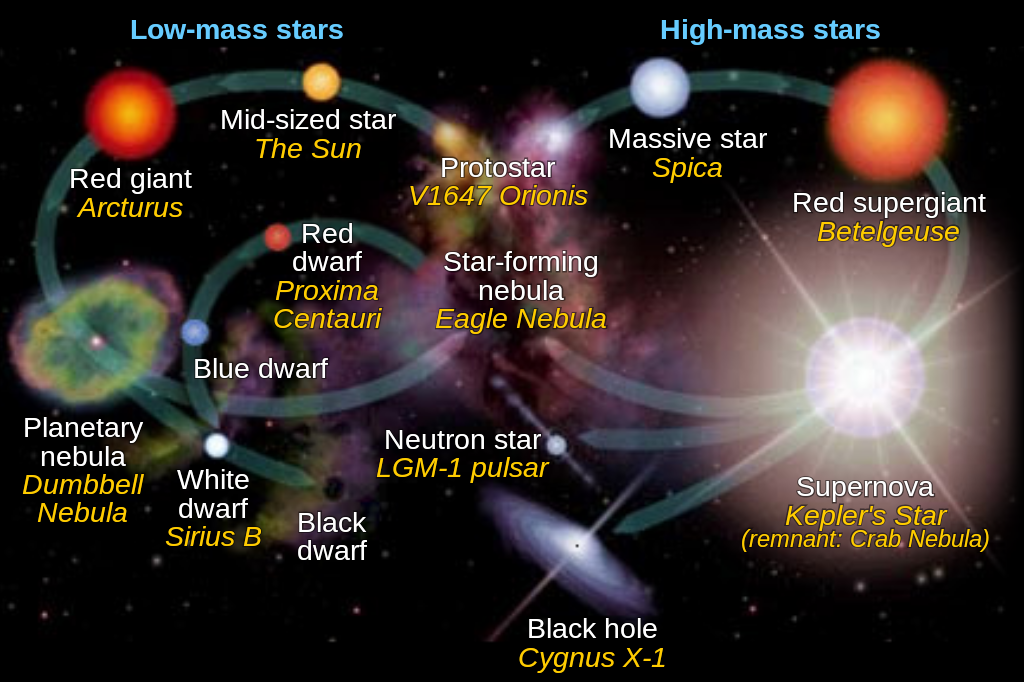The stages are connected with arrows, and include dwarf stars, giant stars, supernovas, and black holes.