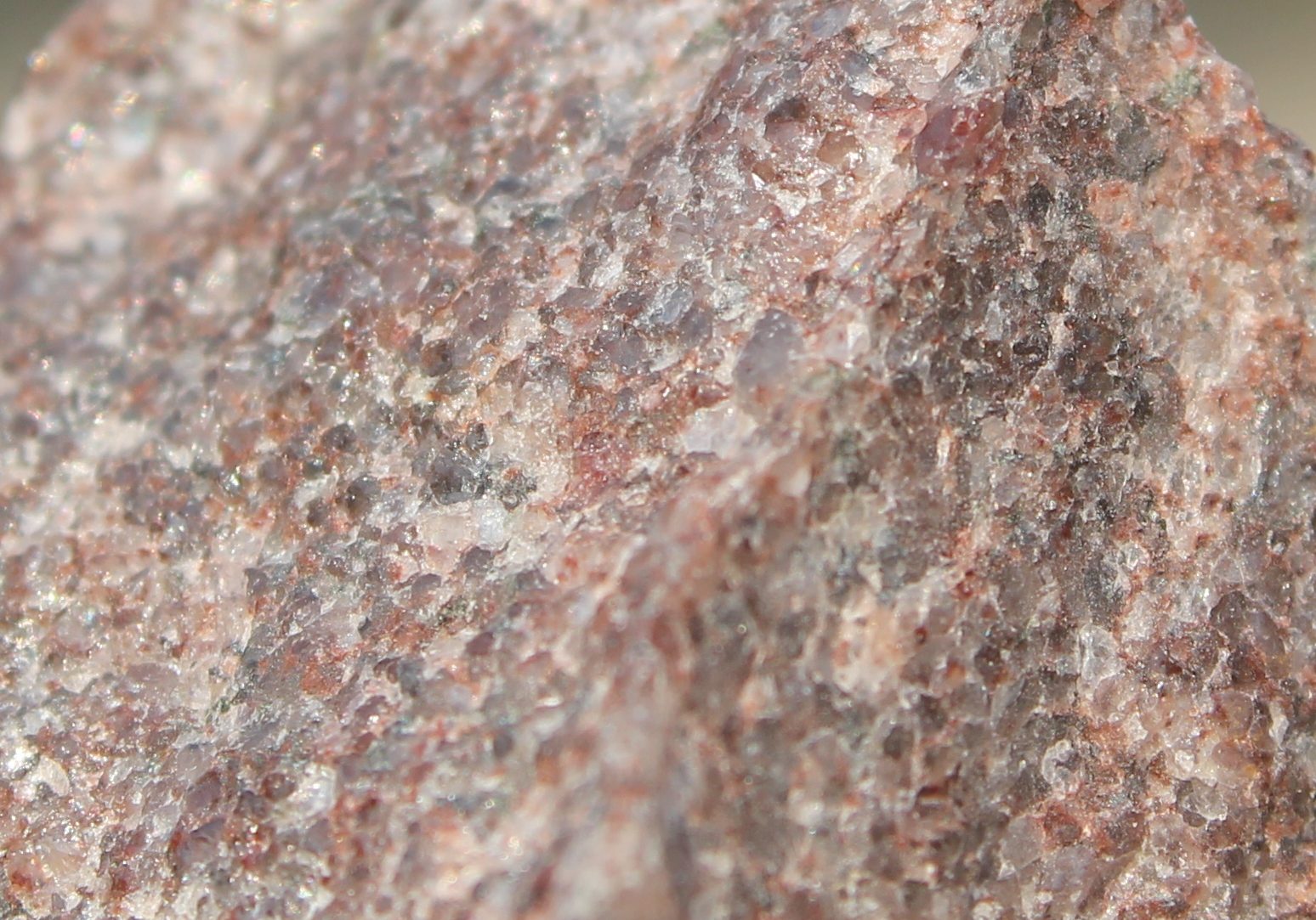 Interlocking quartz grains in a quartzite.