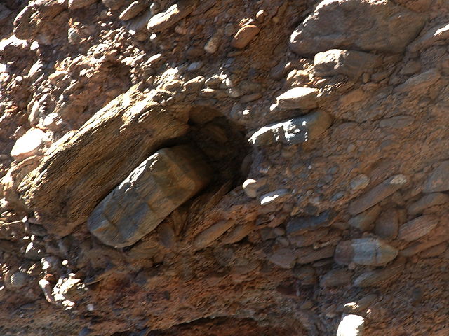 The rocks in this conglomerate are tilted, leaning toward the right.