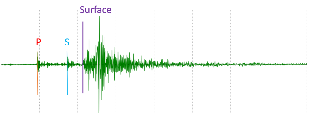 Squiggly lines along a horizontal axis. When the P-wave arrives, a small amplitude squiggle shows up. Then the S-wave arrives, and another small-amplitude squiggle shows. Finally, the surface-waves arrive, and large-amplitude waves show up, two to three times the amplitude of the body waves. Then the wave taper off and the line becomes essentially horizontal again.